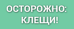 https://tabletka.online/index.php?page=147